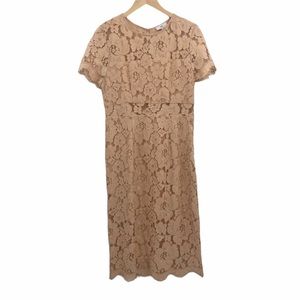 NSR blush lace overlay short sleeve dress